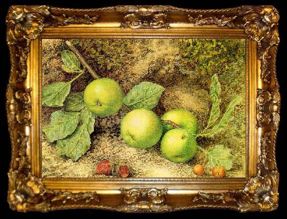 framed  Hill, John William Still Life with Fruit and Fly, ta009-2